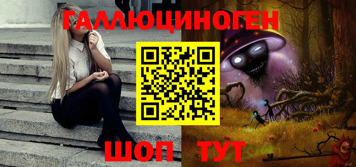 Новошахтинск  Псилоцибиновые грибы MAGIC MUSHROOMS  Вход с VPN 
