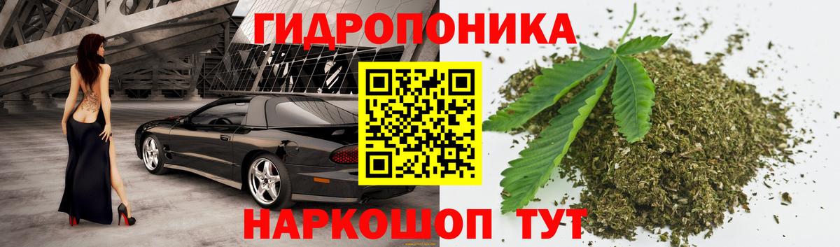 Бошки марихуана конопля  Конопля план  Вход с VPN  Бошки марихуана White Widow  Новошахтинск 